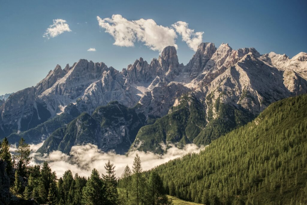 Work With Us 41 Summits conceptual image